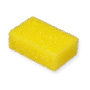 GlassSponge