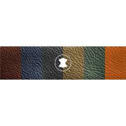 Leather Colour