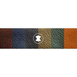 Leather Paints
