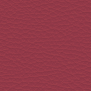 Lederfarbe Alfa Romeo Rosso 100 ml