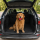 Lilly Brush Mini Blade Pet Hair Remover Car