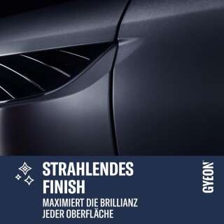 GYEON Q&sup2;M WetCoat